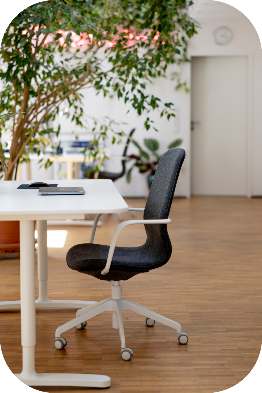 Ergonomischer dunkelgrauer Bürostuhl mit weißem Gestell an hellem Schreibtisch mit geschlossenem Laptop und Maus vor großer Topfpflanze in modernem Büro