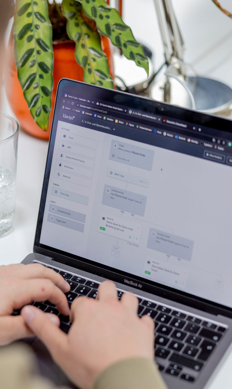 MacBook Air zeigt Klaviyo-Automatisierungsworkflow, Hände tippen auf Tastatur, im Hintergrund gepunktete Calathea-Pflanze