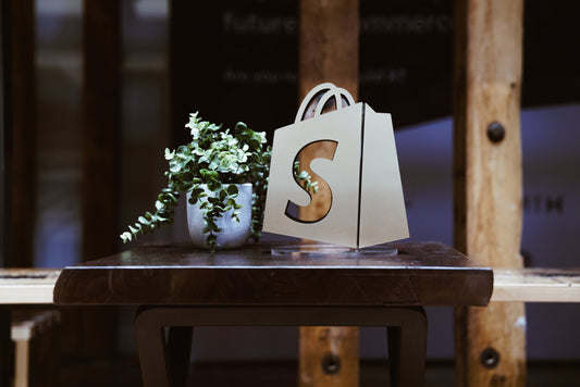 Guide: Shopify mit Klaviyo verbinden